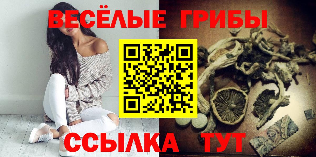 Галлюциногенные грибы Psilocybine cubensis Полевской