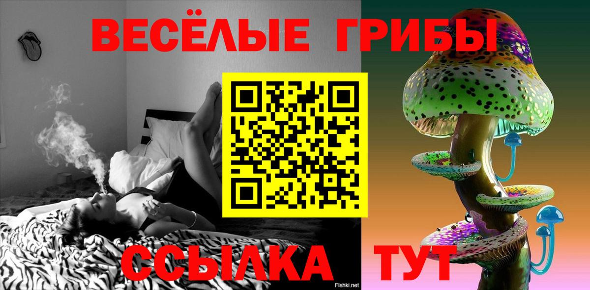 Полевской  купить наркотик  Вход с VPN  Галлюциногенные грибы Cubensis 